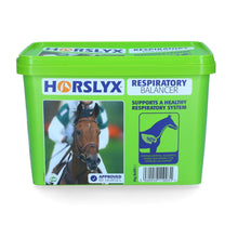 Yellow Green Horslyx 5 Kilo Respiratory Balancer