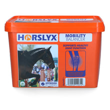Light Steel Blue Horslyx Mobility 5kg