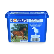 Powder Blue Horslyx Original 5kg