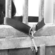 Gray Universalhalterung