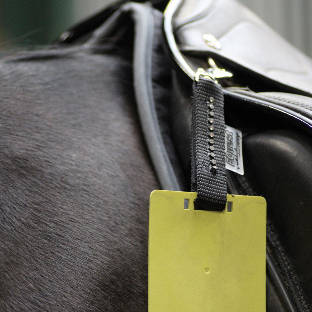 Dark Slate Gray Plakettenriemen | Crystal