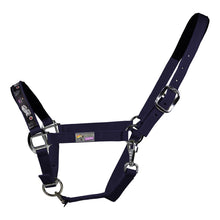 EQuest Pummel Halfter Uno Plus | Live Love Ride
