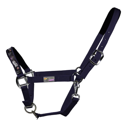 Black EQuest Pummel Halfter Uno Plus | Live Love Ride