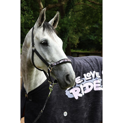 Black EQuest Pummel Halfter Uno Plus | Live Love Ride