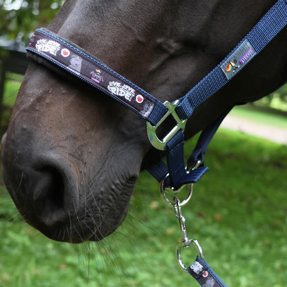 Dark Slate Gray EQuest Pummel Halfter Uno Plus | Live Love Ride