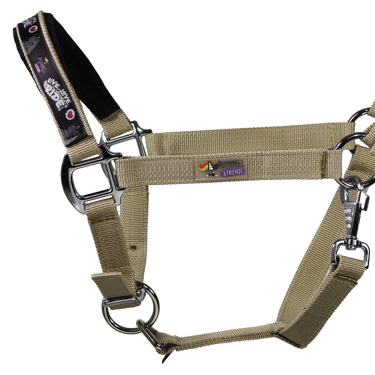 Dim Gray EQuest Pummel Halfter Uno Plus | Live Love Ride