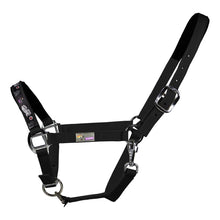 EQuest Pummel Halfter Uno Plus | Live Love Ride