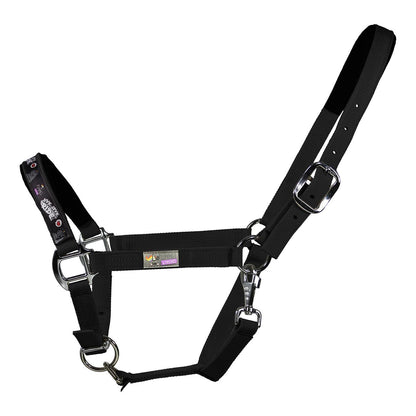 Black EQuest Pummel Halfter Uno Plus | Live Love Ride