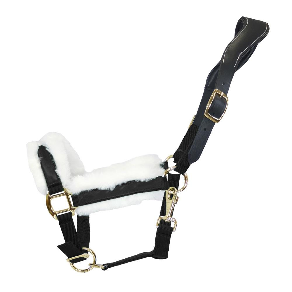 Dark Slate Gray Halfter Anatomical Shine | Messing Edition | Ledergenickstück Black