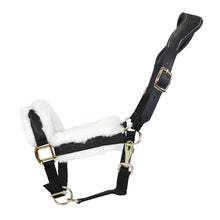 Dark Slate Gray Halfter Anatomical Shine | Messing Edition | Ledergenickstück Black