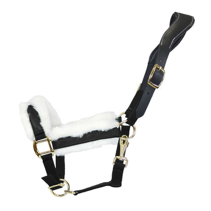 Dark Slate Gray Halfter Anatomical Shine | Messing Edition | Ledergenickstück Black