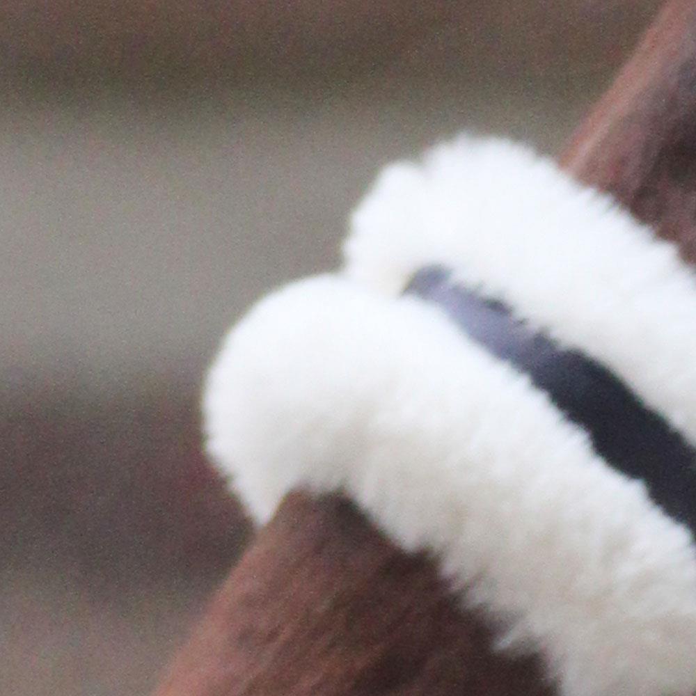 Dim Gray Halfter Anatomical Shine | Messing Edition | Ledergenickstück Black