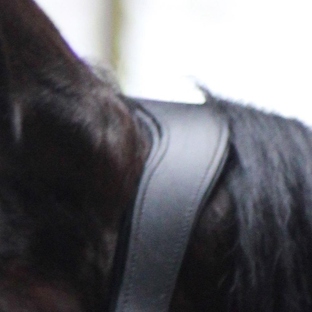 Dark Slate Gray Halfter Anatomical Shine | Messing Edition | Ledergenickstück Black