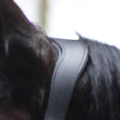 Dark Slate Gray Halfter Anatomical Shine | Messing Edition | Ledergenickstück Black