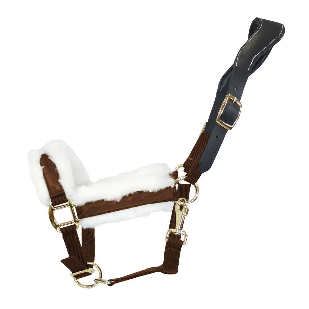 Dark Slate Gray Halfter Anatomical Shine | Messing Edition | Ledergenickstück Black