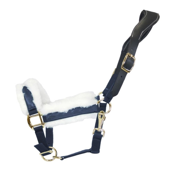 Beige Halfter Anatomical Shine | Messing Edition | Ledergenickstück Black