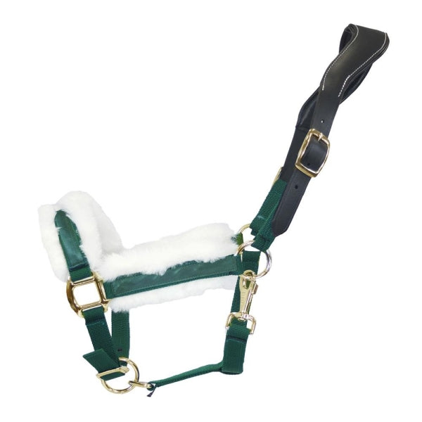 Beige Halfter Anatomical Shine | Messing Edition | Ledergenickstück Black