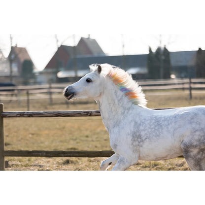 Rosy Brown Lucky Horse Unicorn Regenbogenfarbige Mähnenkreide