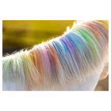 Lucky Horse Unicorn Regenbogenfarbige Mähnenkreide