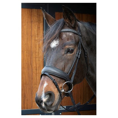 Dark Slate Gray Trense Soft Bombastic Black Edition