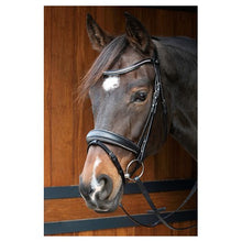 Dark Slate Gray Trense Petit Crystal