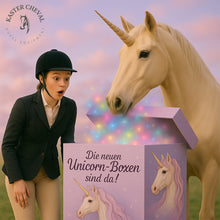 Unicorn Box