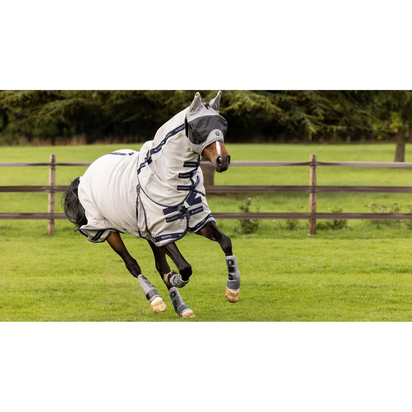 LMX Kudos Gladiator Fly Rug