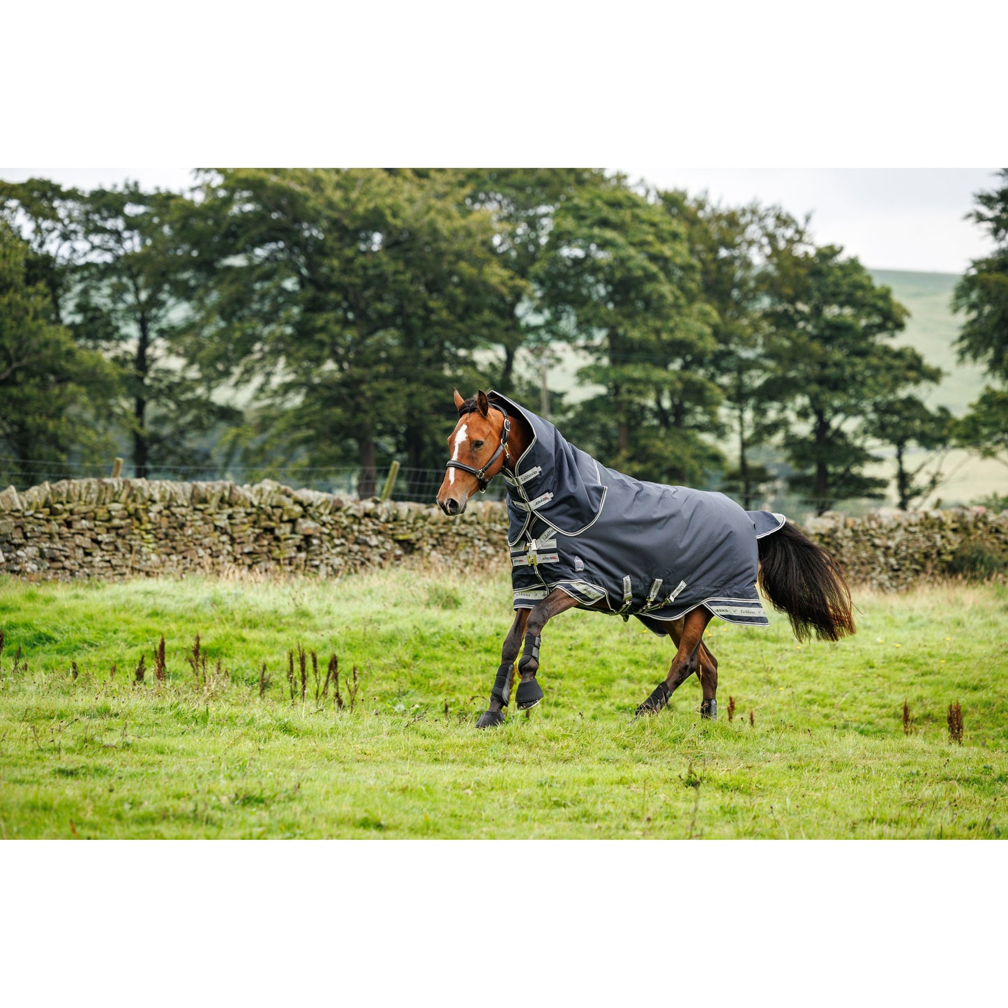 LMX Arika Storm-Tek Turnout Rug