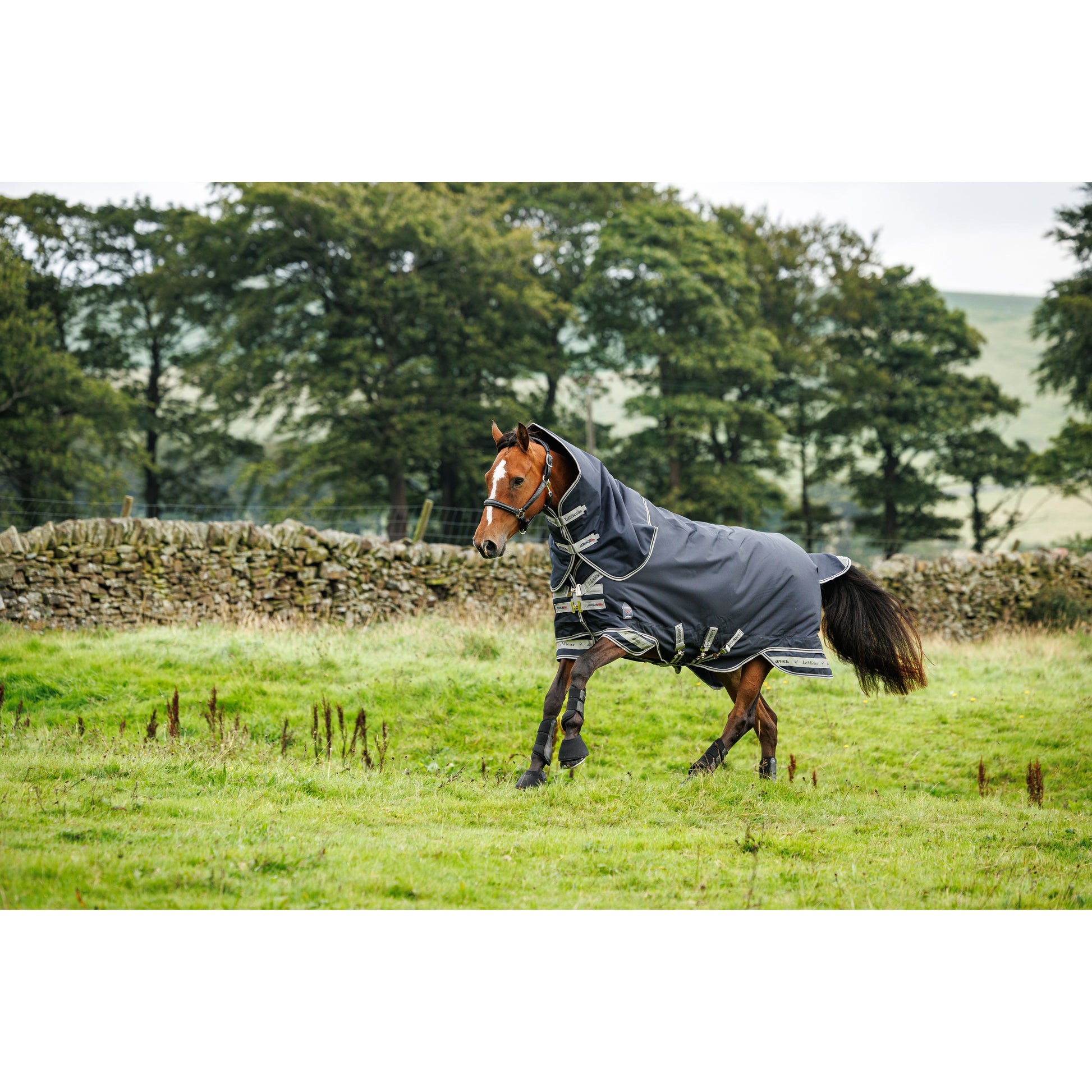 Olive Drab LMX Arika Featherweight Turnout Rug 0g