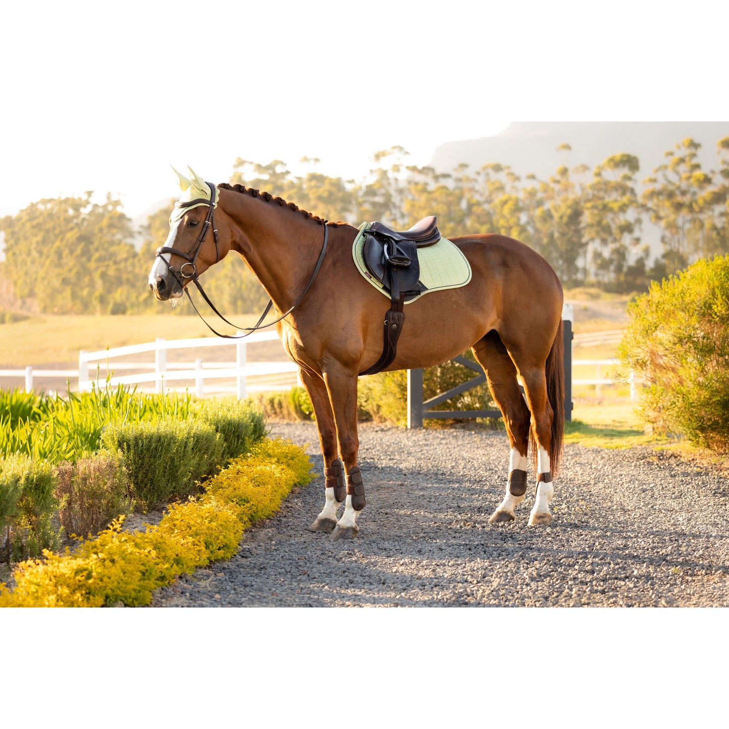LeMieux Suede Close Contact Schabracke - Kaster Cheval