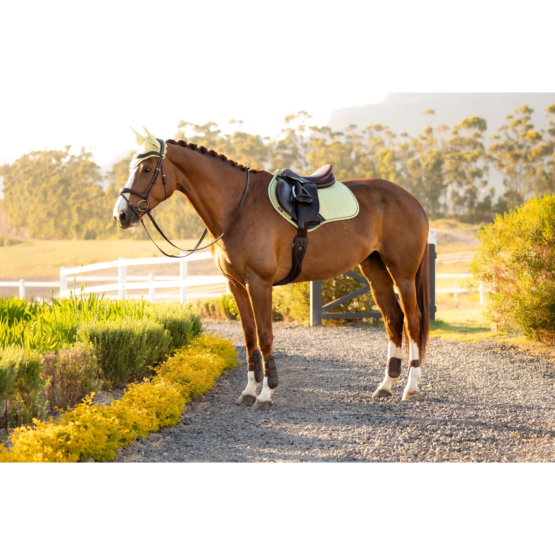 LeMieux Suede Close Contact Schabracke - Kaster Cheval
