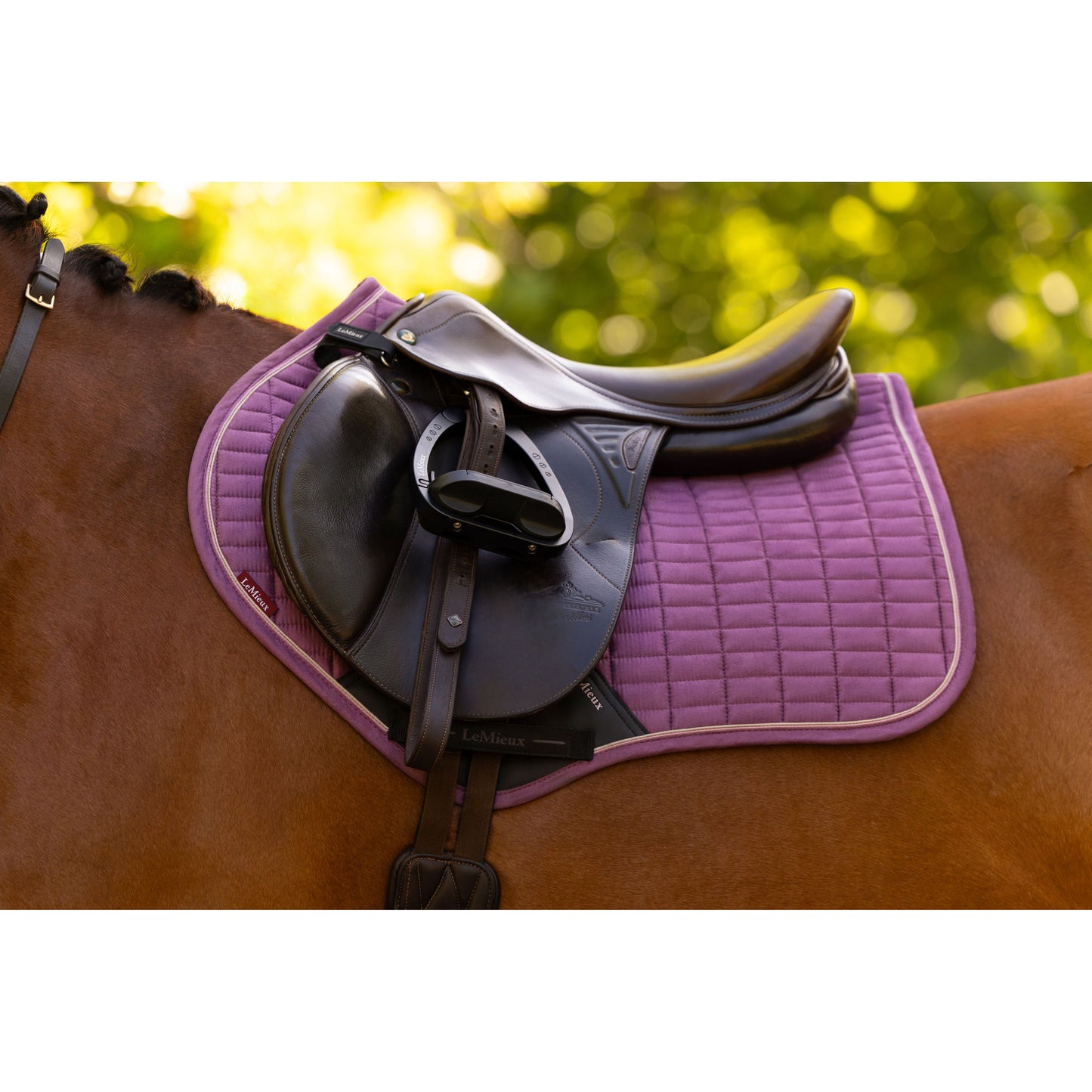 LeMieux Suede Close Contact Schabracke - Kaster Cheval