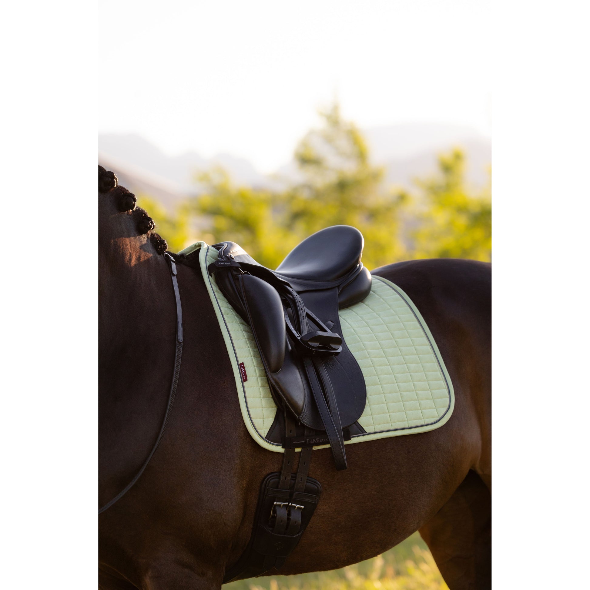 LeMieux Suede Dressurschabracke - Kaster Cheval