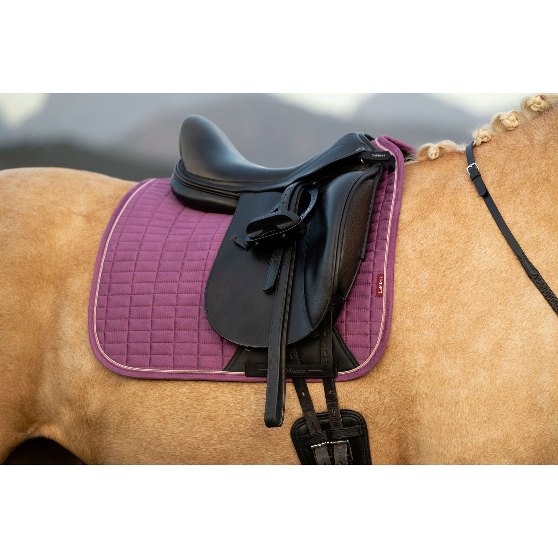 LeMieux Suede Dressurschabracke - Kaster Cheval