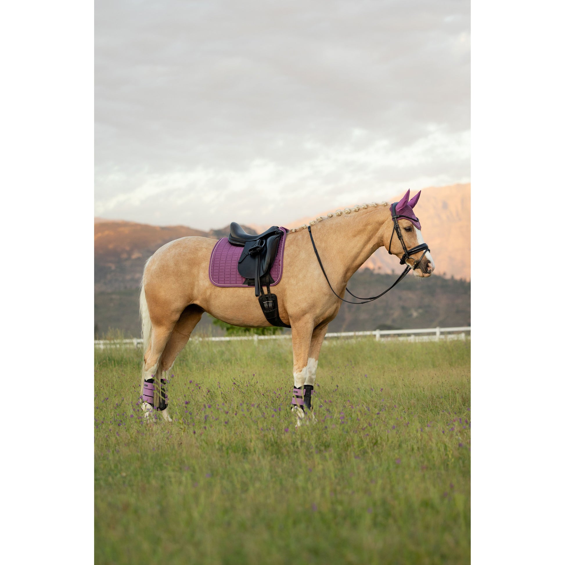 LeMieux Suede Dressurschabracke - Kaster Cheval