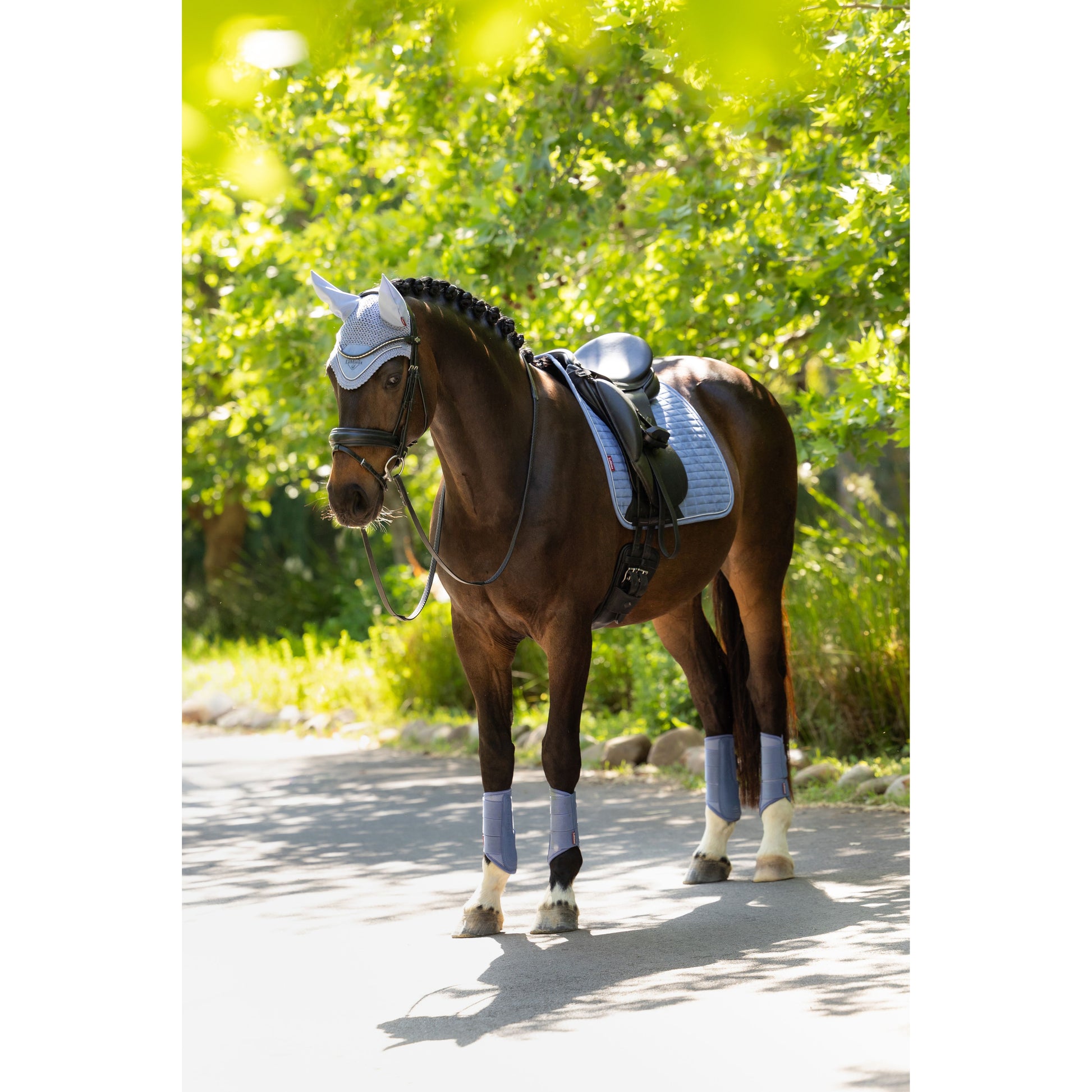 LeMieux Suede Dressurschabracke - Kaster Cheval