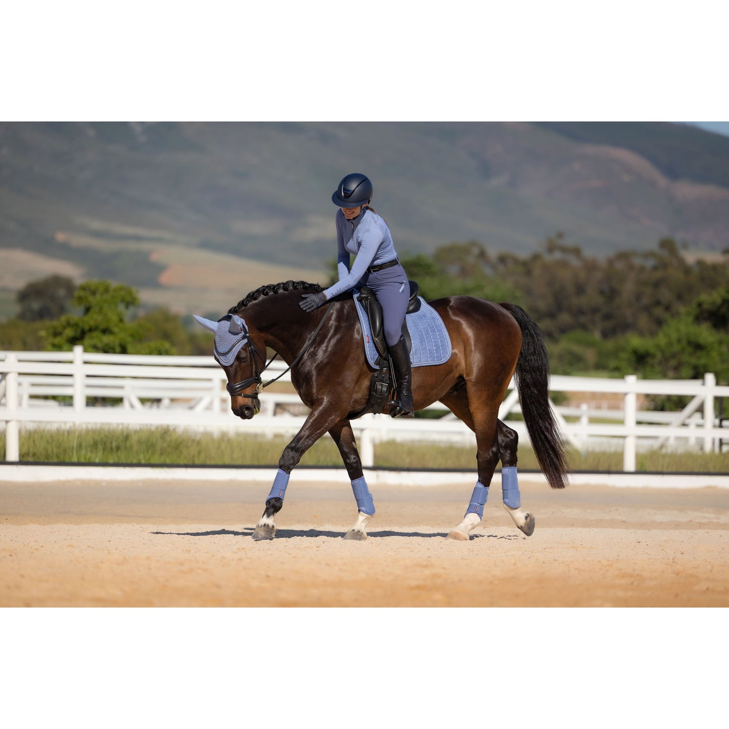 LeMieux Suede Dressurschabracke - Kaster Cheval
