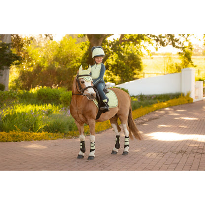 LeMieux Mini Suede Close Contact Schabracke - Kaster Cheval