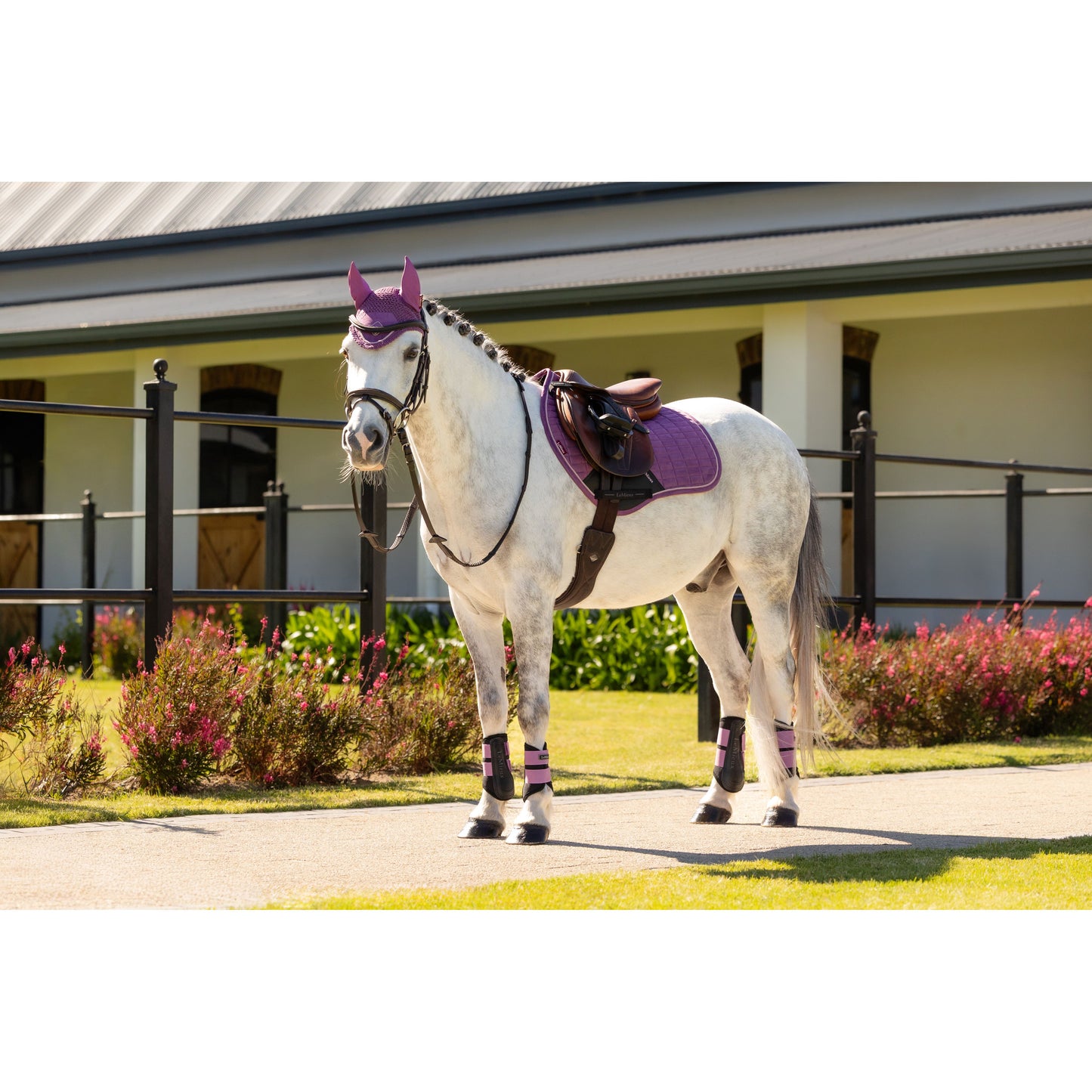 LeMieux Mini Suede Close Contact Schabracke - Kaster Cheval