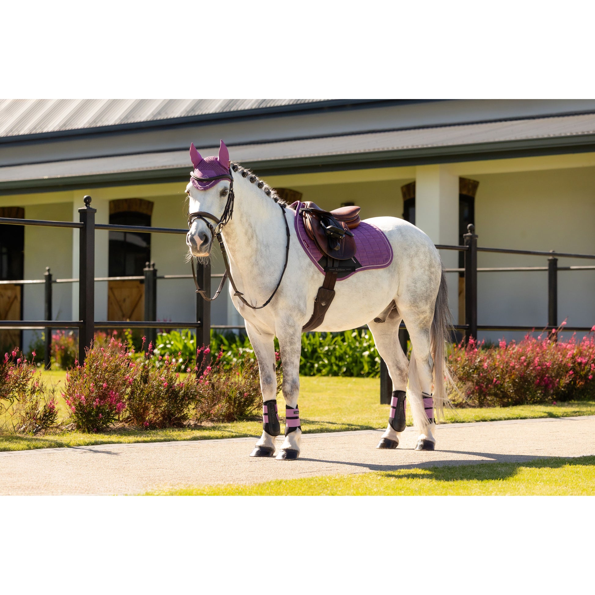 LeMieux Mini Suede Close Contact Schabracke - Kaster Cheval
