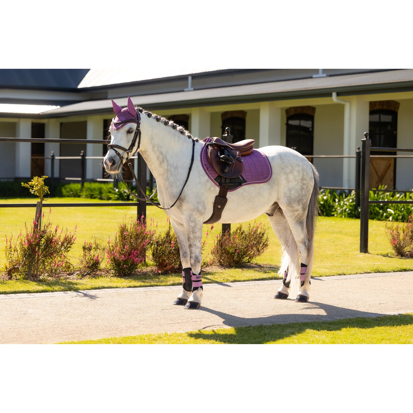 LeMieux Mini Suede Close Contact Schabracke - Kaster Cheval