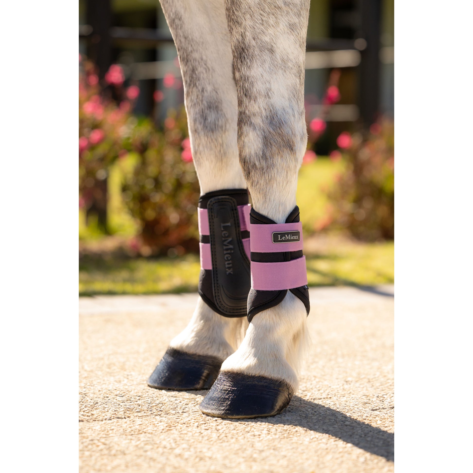 LeMieux Mini Air-Tek Grafter Brushing Gamaschen - Kaster Cheval