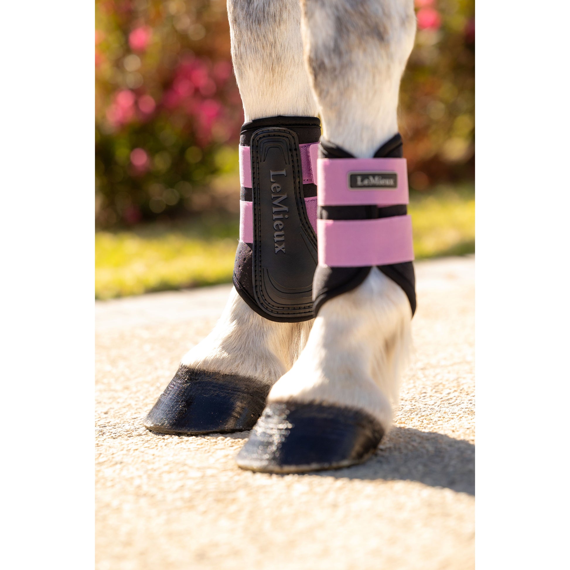 LeMieux Mini Air-Tek Grafter Brushing Gamaschen - Kaster Cheval
