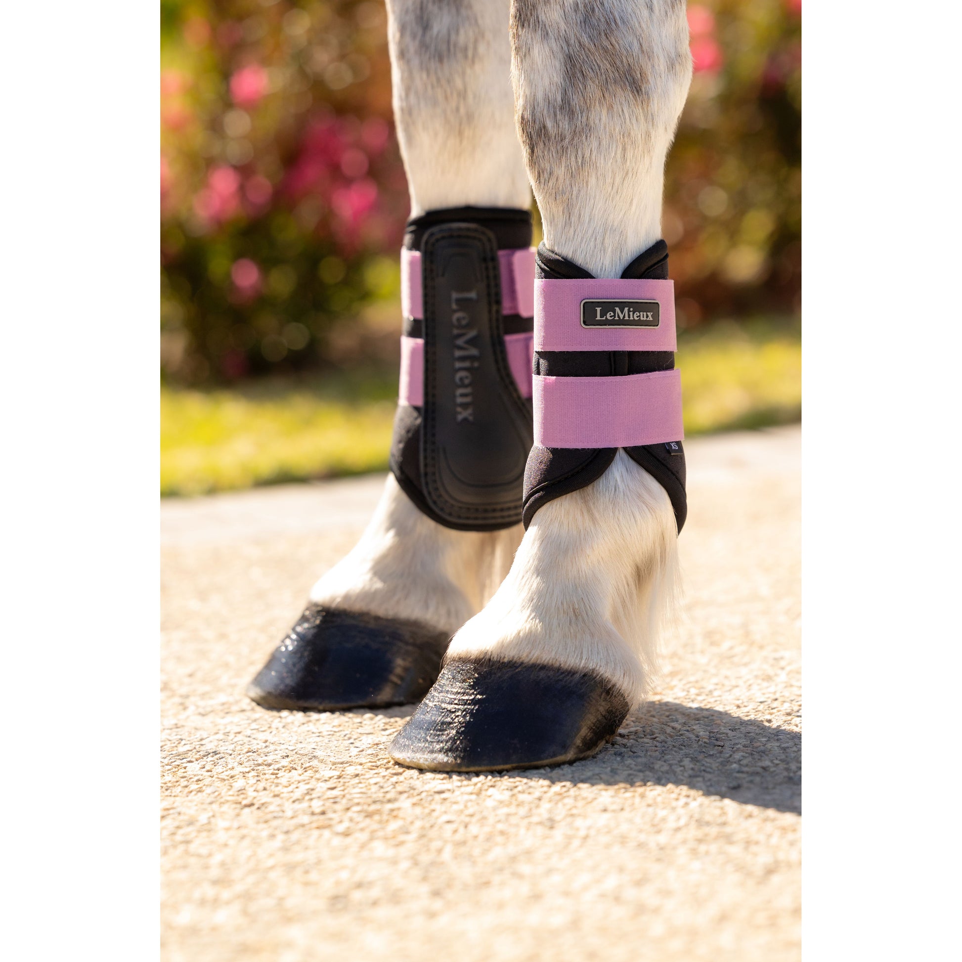 LeMieux Mini Air-Tek Grafter Brushing Gamaschen - Kaster Cheval