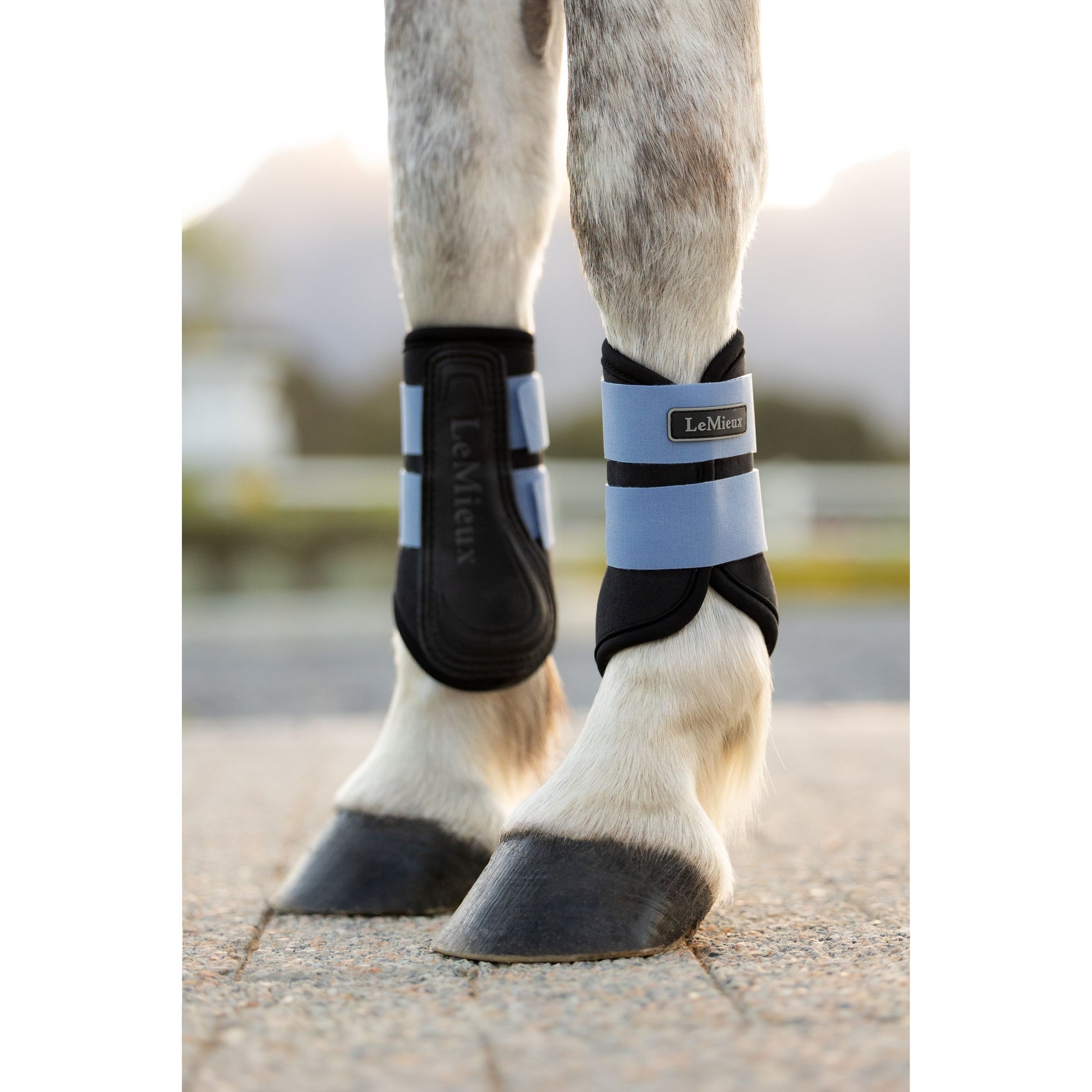 LeMieux Mini Air-Tek Grafter Brushing Gamaschen - Kaster Cheval