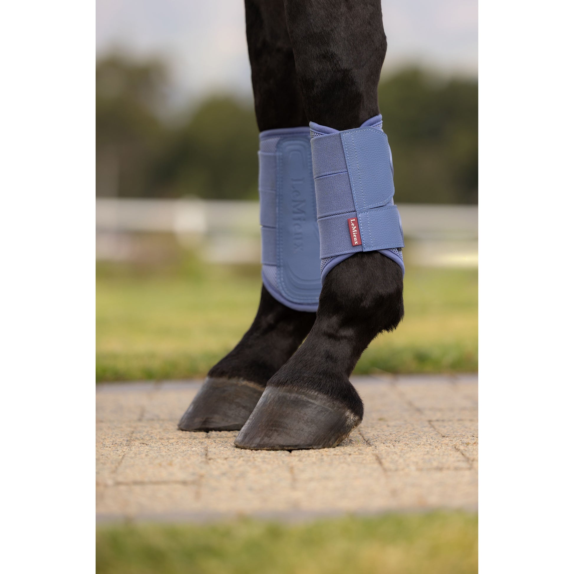 LeMieux Arika Mesh-Gamaschen - Kaster Cheval