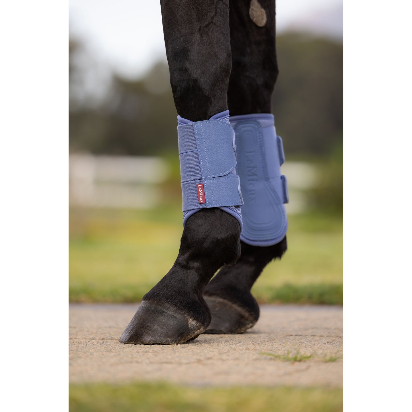 LeMieux Arika Mesh-Gamaschen - Kaster Cheval