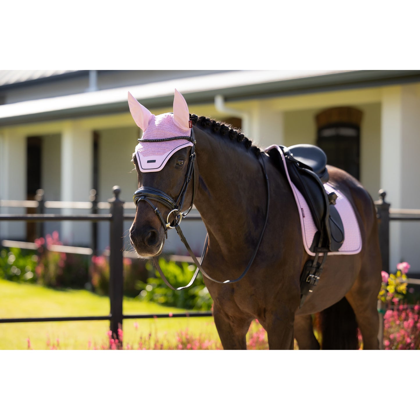 LeMieux Essence Dressurschabracke - Kaster Cheval