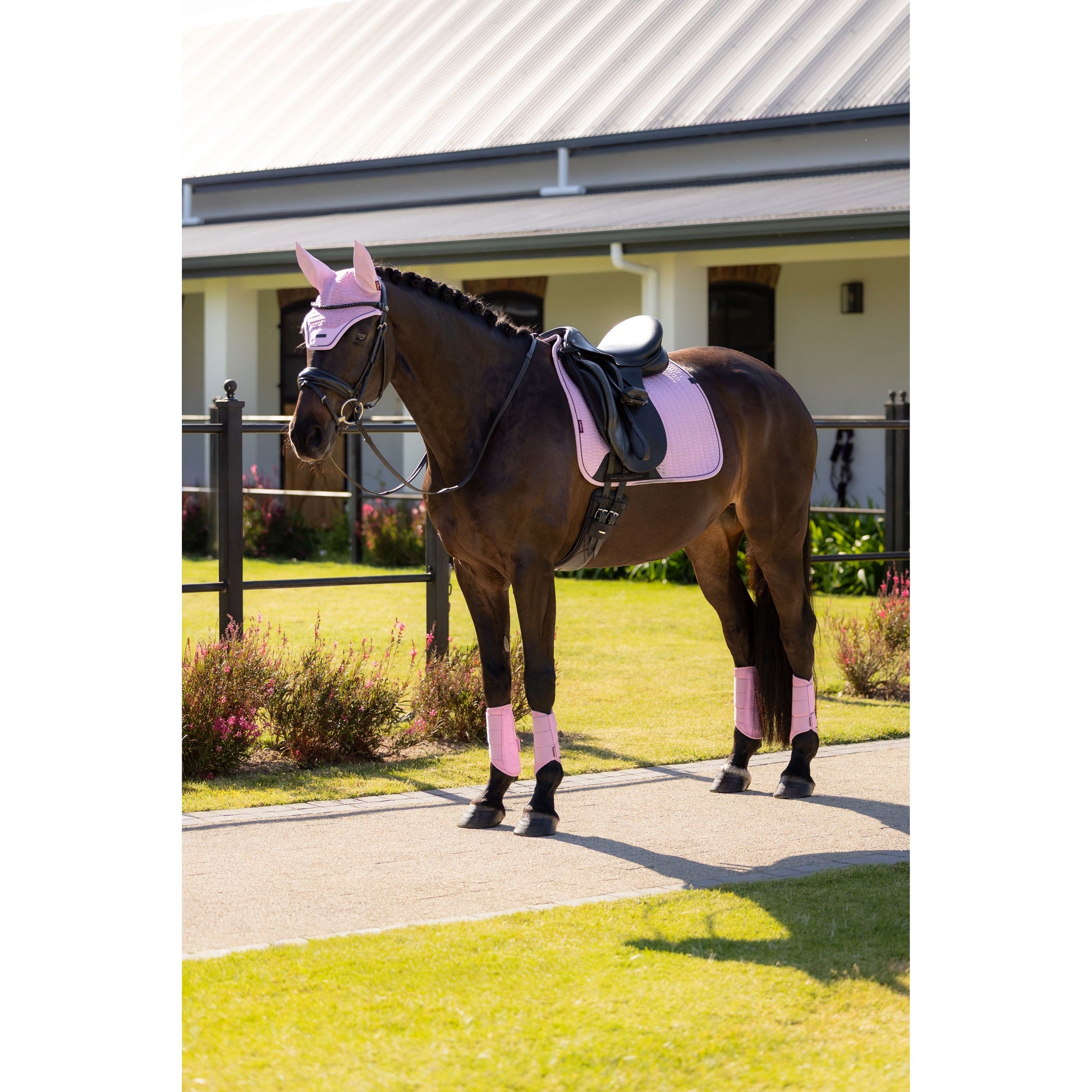 LeMieux Essence Dressurschabracke - Kaster Cheval