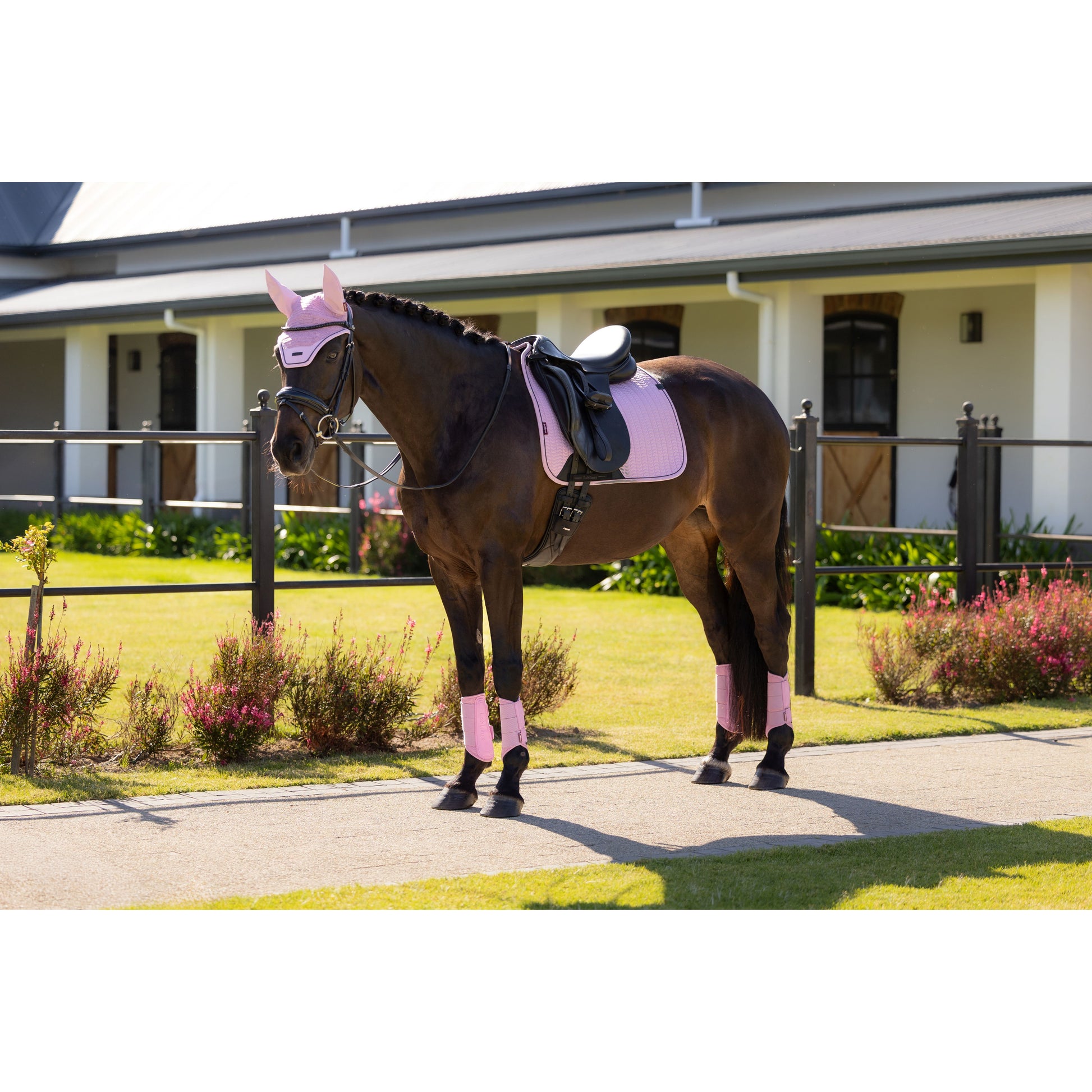 LeMieux Essence Dressurschabracke - Kaster Cheval